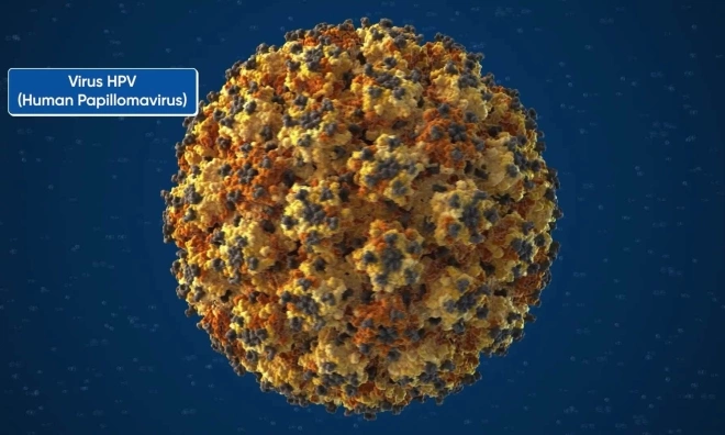 Does HPV infection always lead to cancer?