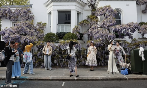 London's affluent neighborhoods grapple with wisteria photographers