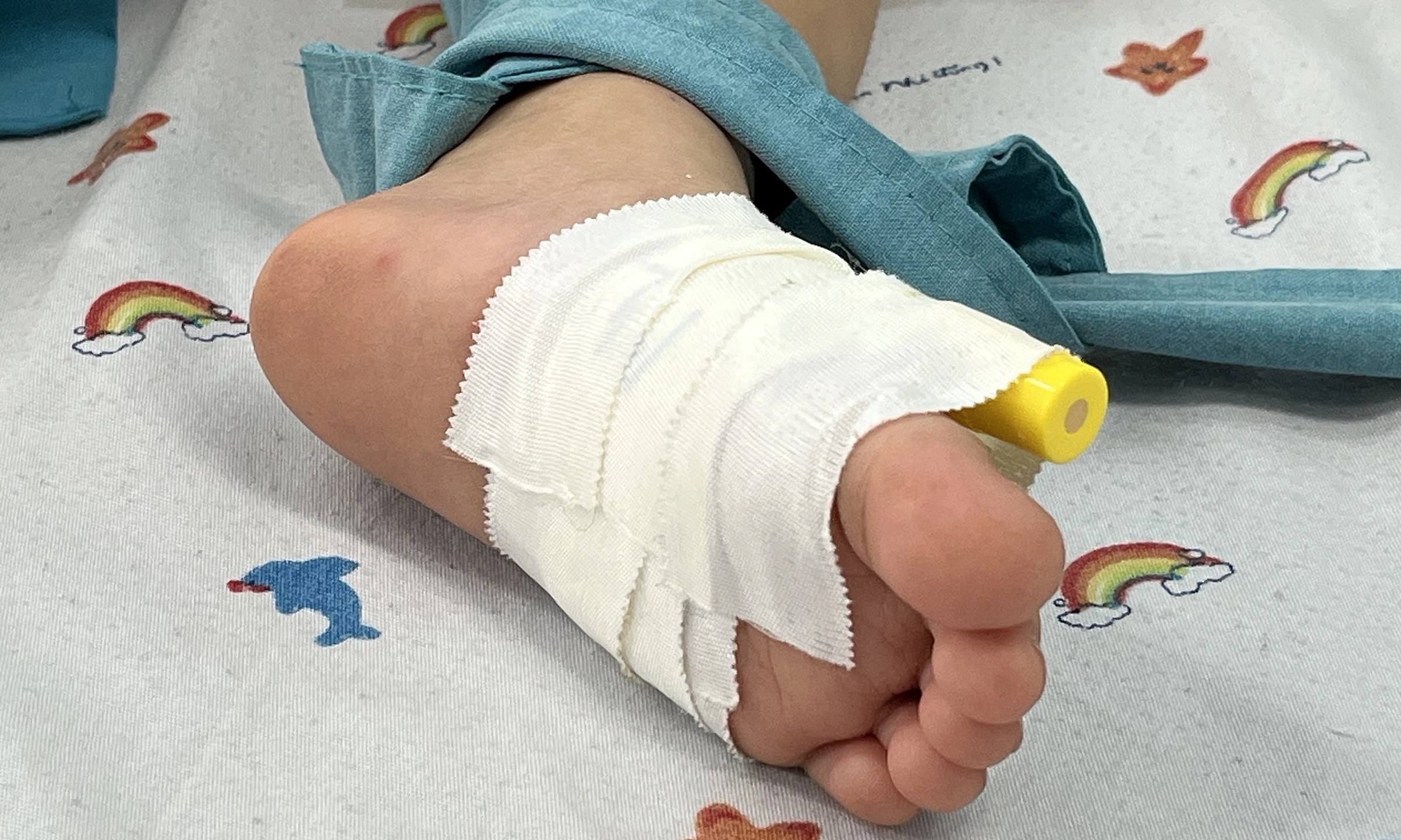 5 key points about hand-foot-and-mouth disease caused by EV71 virus