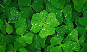 Ways to wish good luck beyond 'good luck'