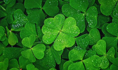 Ways to wish good luck beyond 'good luck'