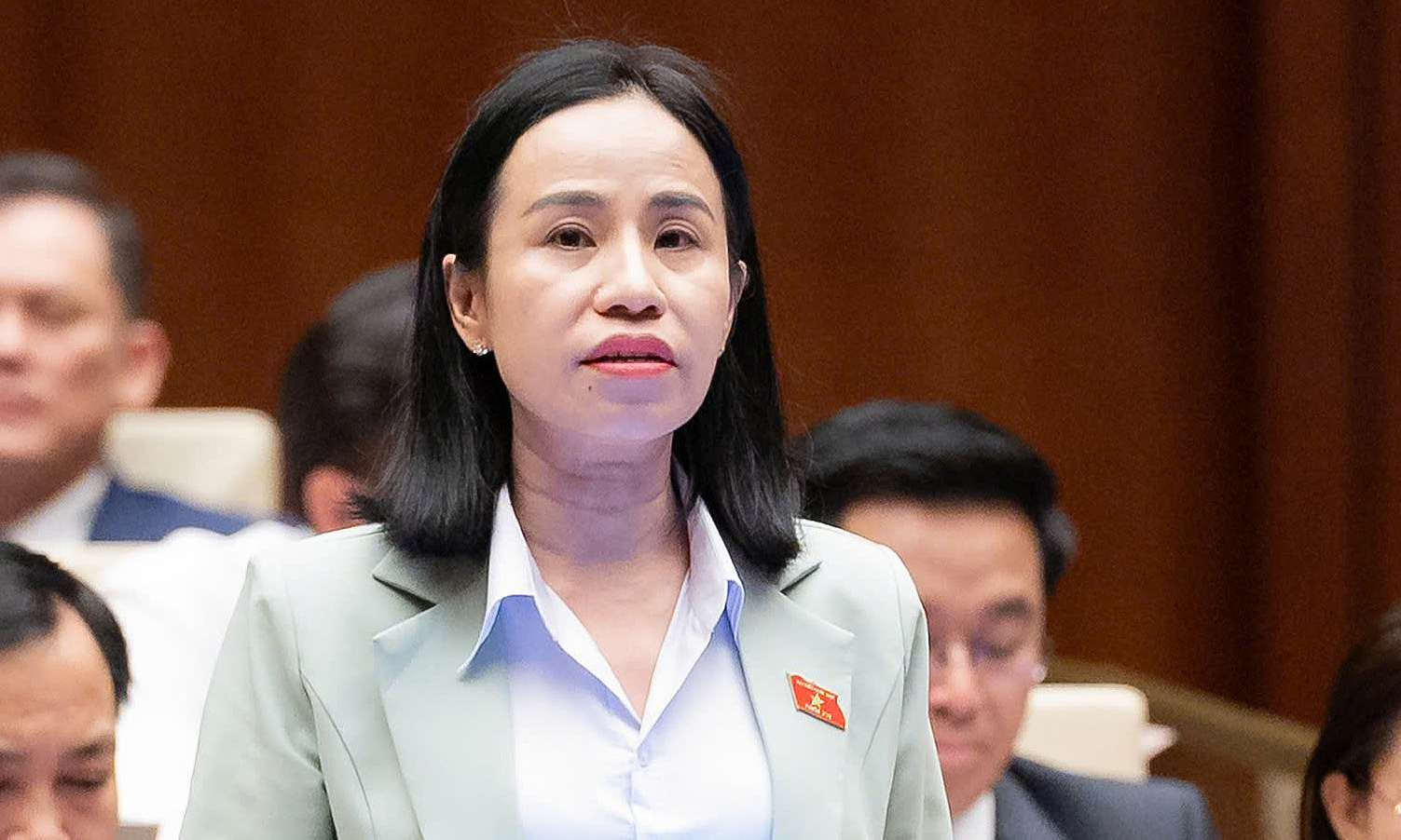 National Assembly members: electric vehicle tax should be increased gradually to avoid market 'shock'