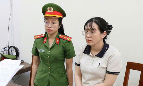 Woman in Da Nang arrested for over 8.6 billion VND tax evasion