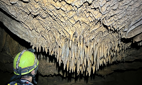 Quang Tri discovers 26 new caves