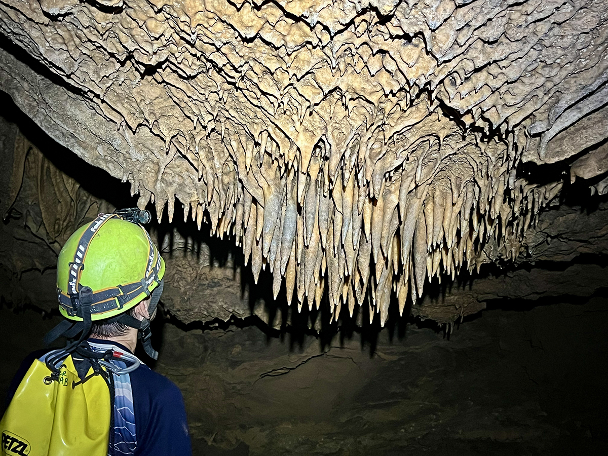 Quang Tri discovers 26 new caves