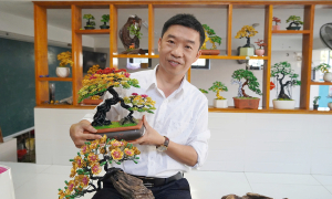 Math teacher earns millions crafting aluminum wire bonsai
