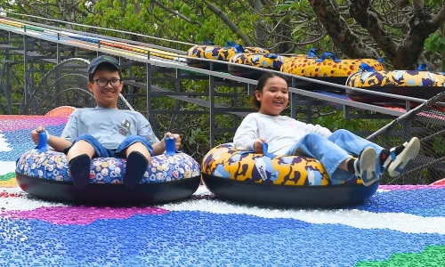 Dam Sen Park operator returns to loss