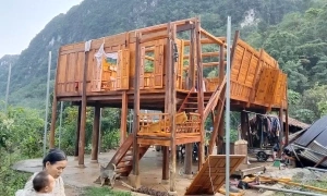 Boy dies in collapsed house during storm