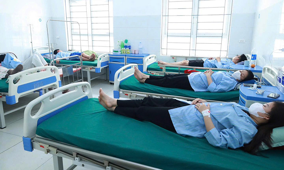 Salmonella-contaminated banh mi causes food poisoning in 62 people in Nghe An