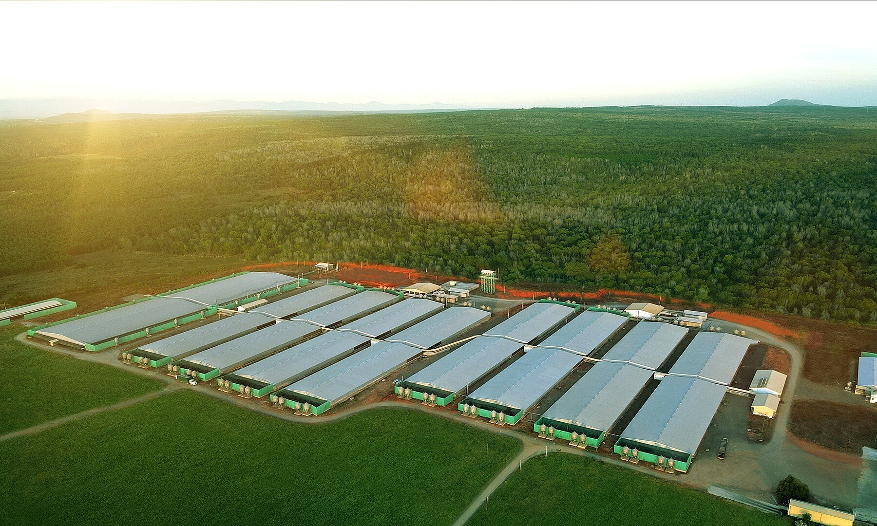 Greenfeed records profit increase