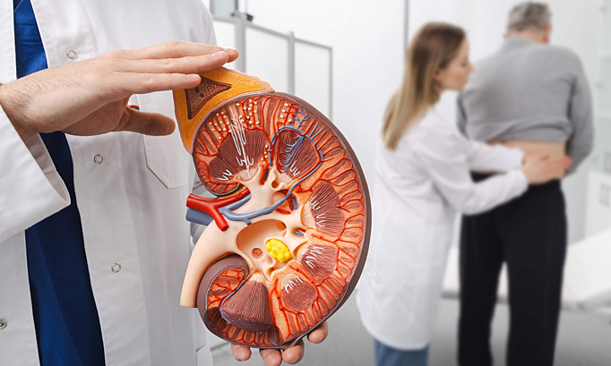 The 'culprit' behind kidney failure even in healthy eaters