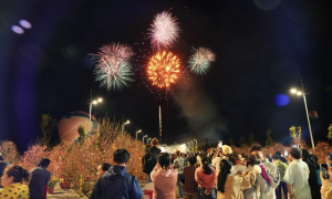 Can Gio coastal fireworks display announced