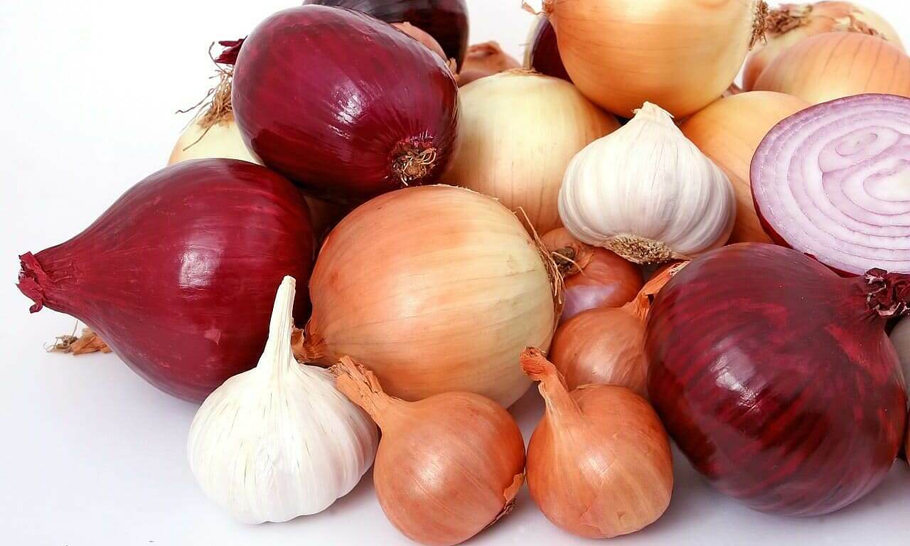 Onions help protect kidneys, fight cancer