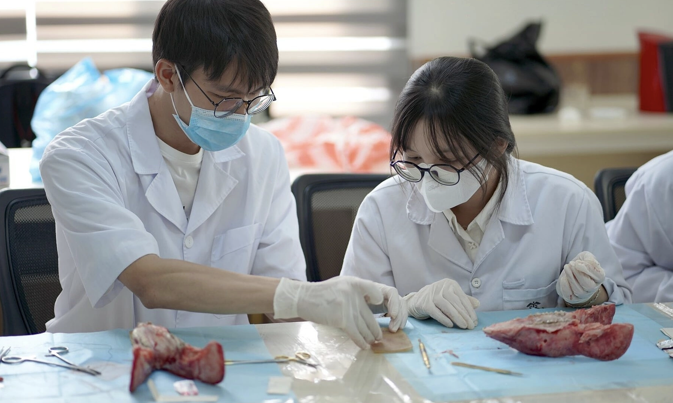 University of Medicine and Pharmacy converts IELTS 5.5 for medical programs