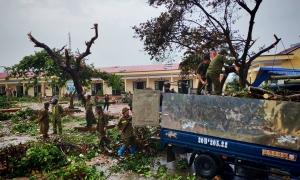 Military, police build homes, clear trees after storm