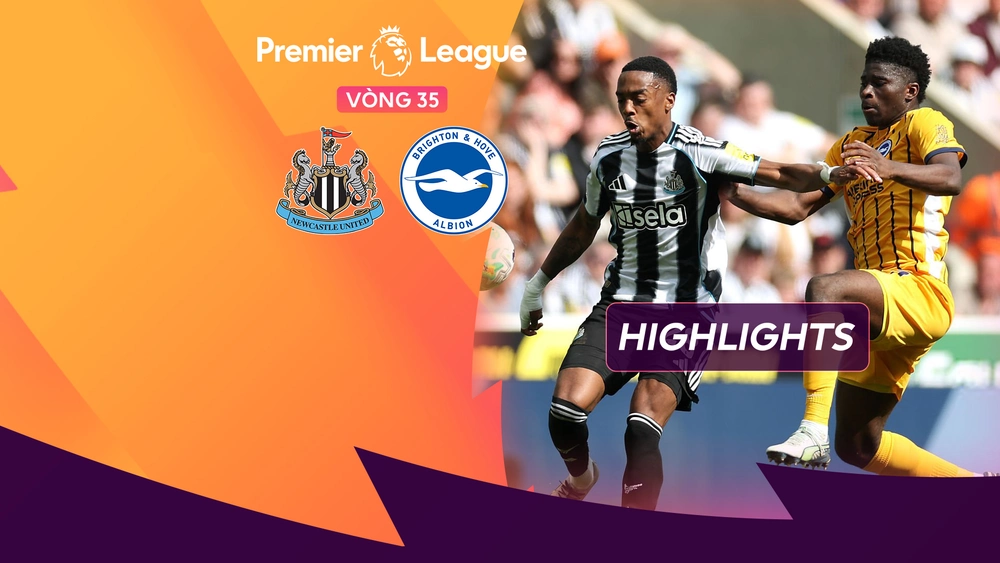 Newcastle 3-1 Brighton