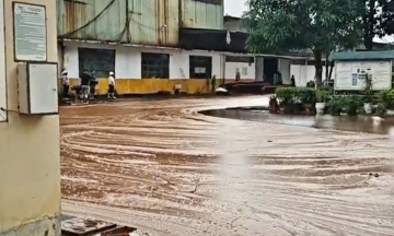 Factory loses 2,000 liters of molasses due to lightning strike puncturing storage tank