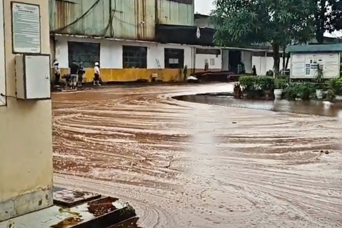 Factory loses 2,000 liters of molasses due to lightning strike puncturing storage tank