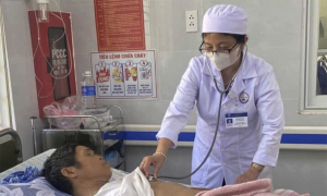 9 people in Quang Tri poisoned after eating fried cicadas