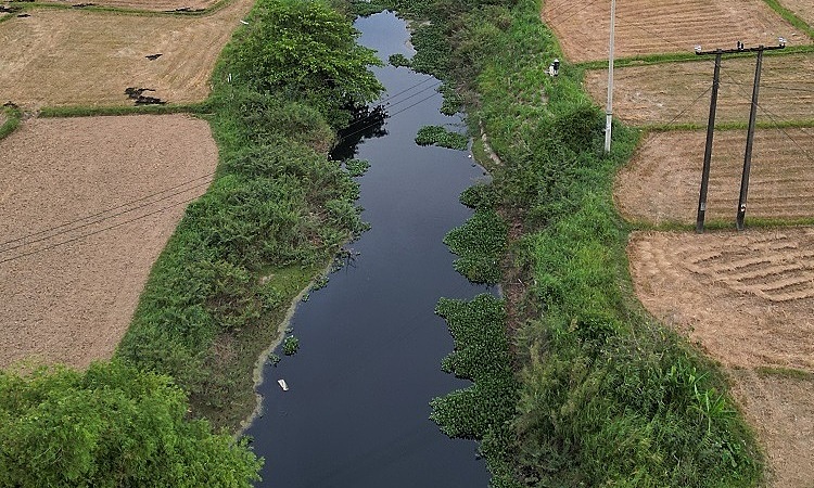 5 km irrigation canal turns black due to industrial wastewater