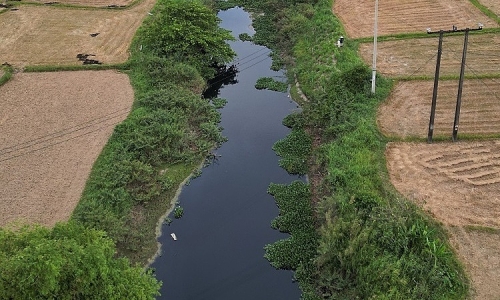 5 km irrigation canal turns black due to industrial wastewater
