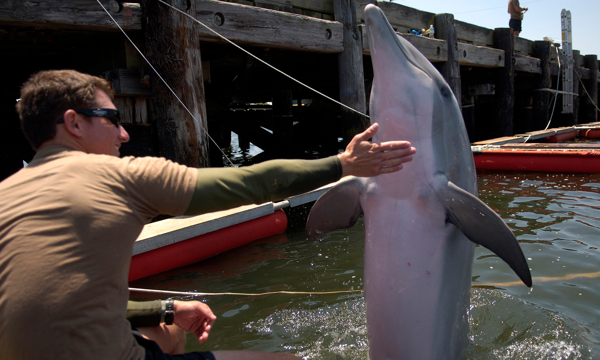 US states Iran does not possess suicide dolphins