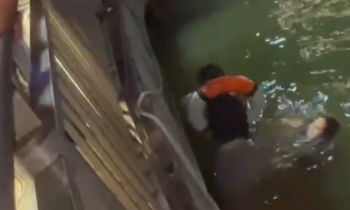 Man jumps into Han River to rescue young man
