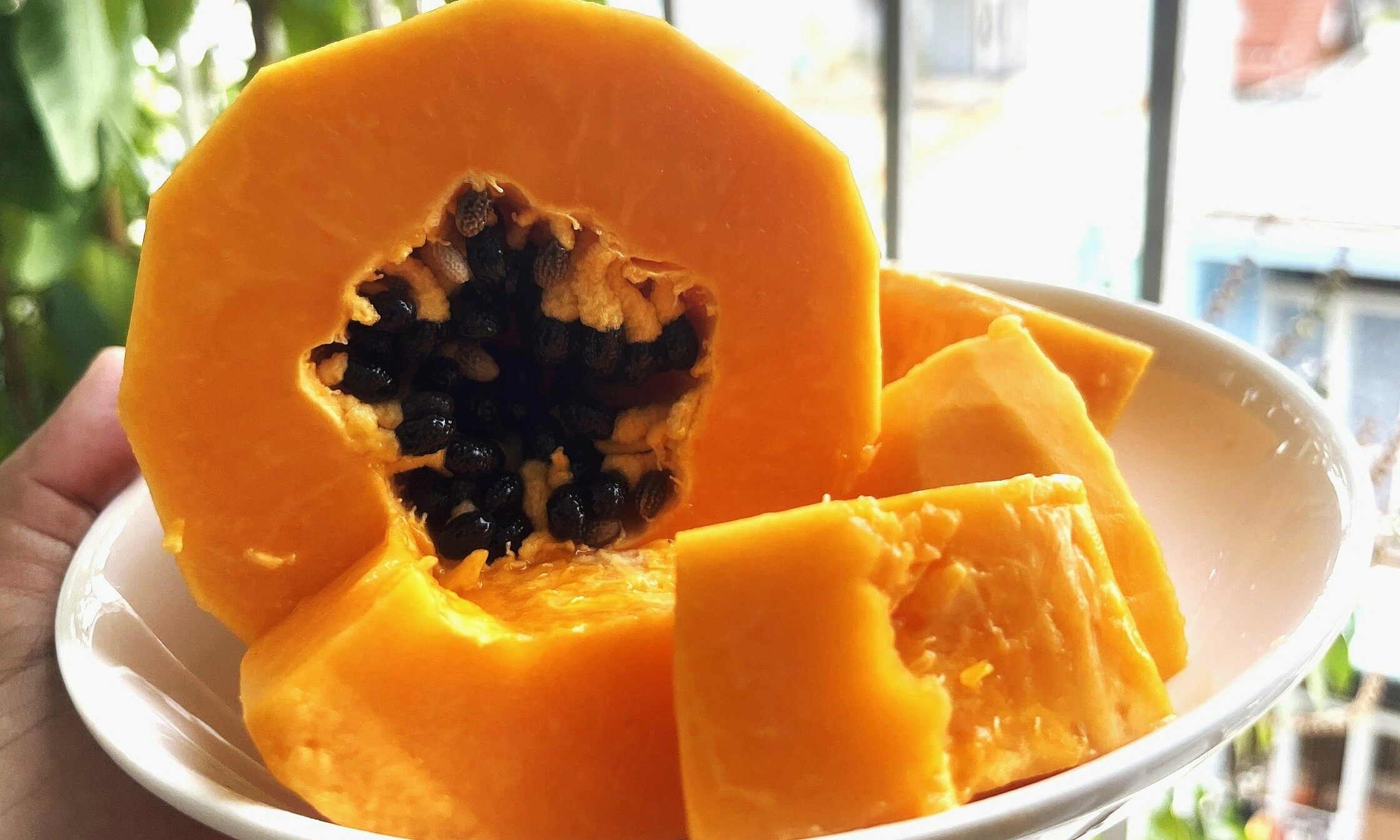 5 fruits to help protect skin from ultraviolet rays