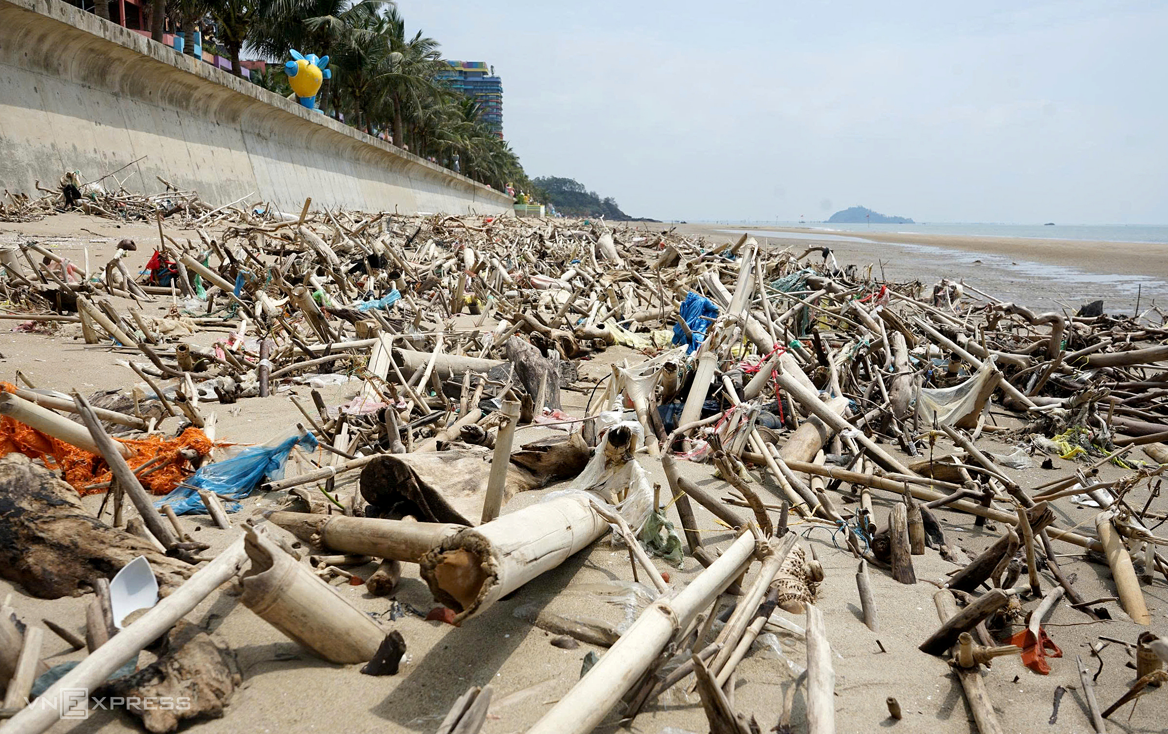 Hai Tien beach littered with tree stumps