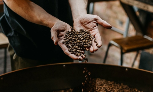 Uncovering the world's most expensive single-origin coffee