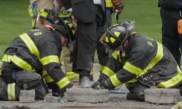 PETA group embeds feet in concrete blocks to protest 'cow abuse'