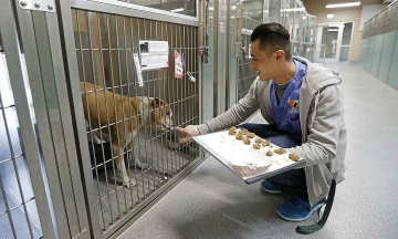 Orange County compensates volunteer 450,000 USD after dog attack