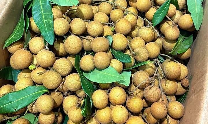 Common mistakes when eating longan