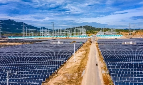 Trung Nam's solar power company reports nearly 1,000 billion VND loss