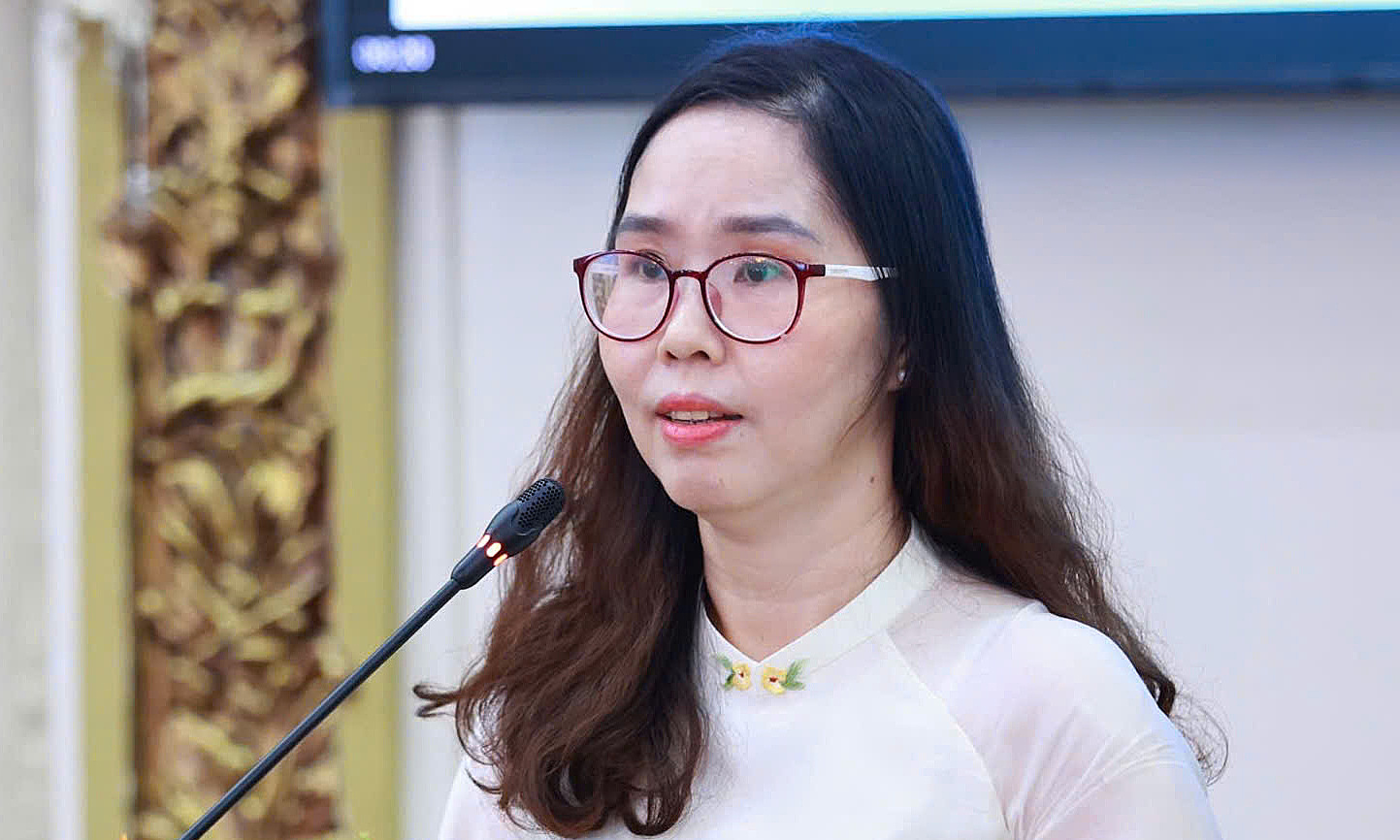 Expert: TP HCM must not continue 'begging' with special urban law