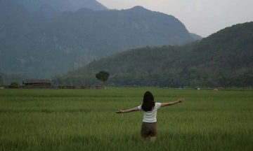 Discovering little-known 'green havens' in Phu Tho
