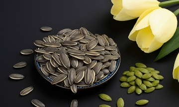 Why vitamin B9 is essential for the body