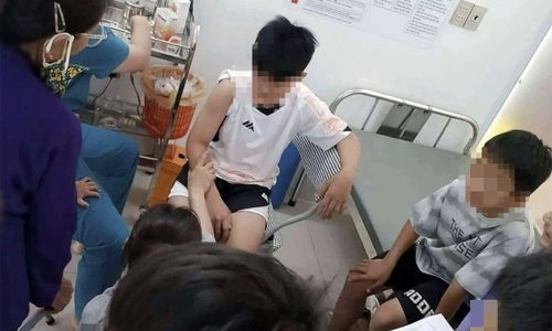6 pedestrians attacked by dog