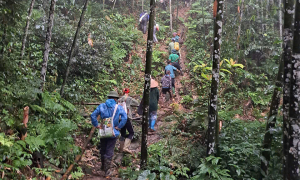 Over 200 people search for missing man in Tuyen Quang