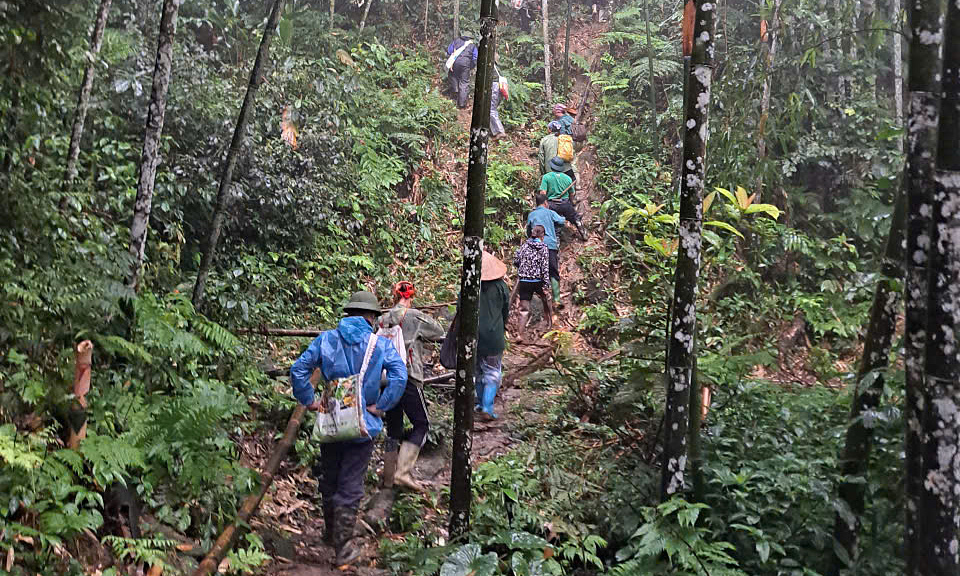 Over 200 people search for missing man in Tuyen Quang