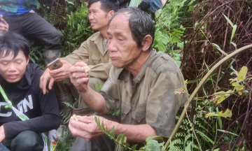 Man found after 4 days lost in forest