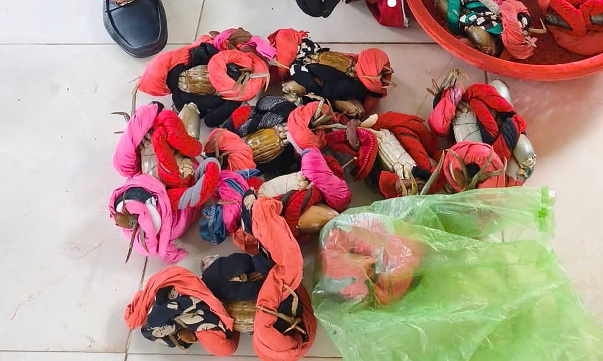Do Son cracks down on "cloth-wrapped" crab sales to tourists