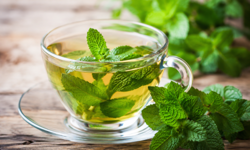 Five health benefits of mint leaves