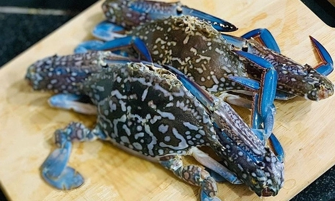 Vietnamese crab continues to enter US market