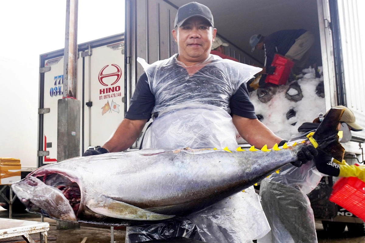Gia Lai proposes first tuna auction center in Southeast Asia