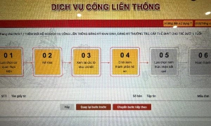 Citizens face difficulties when submitting applications on public service portal