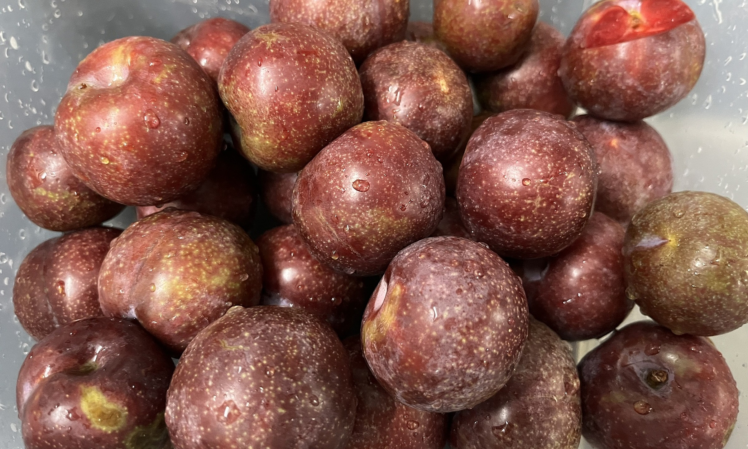 Can eating plums prevent cancer?