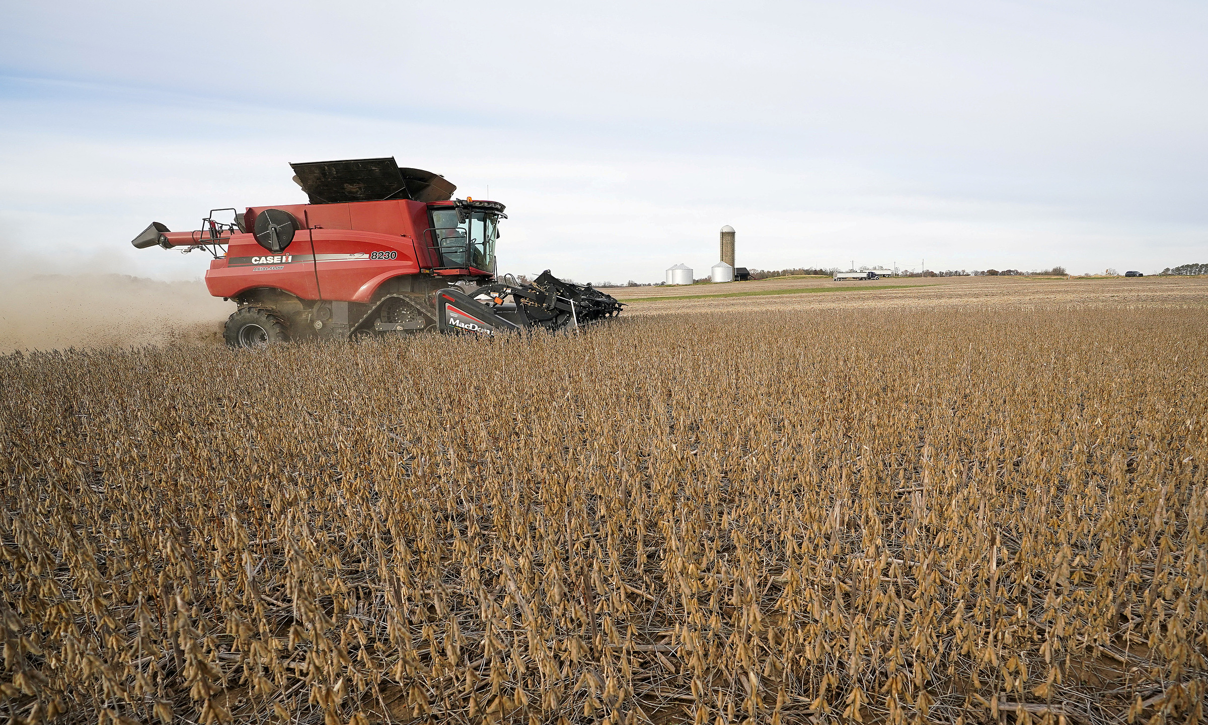 China may purchase 'tens of billions of US dollars' in US agricultural products