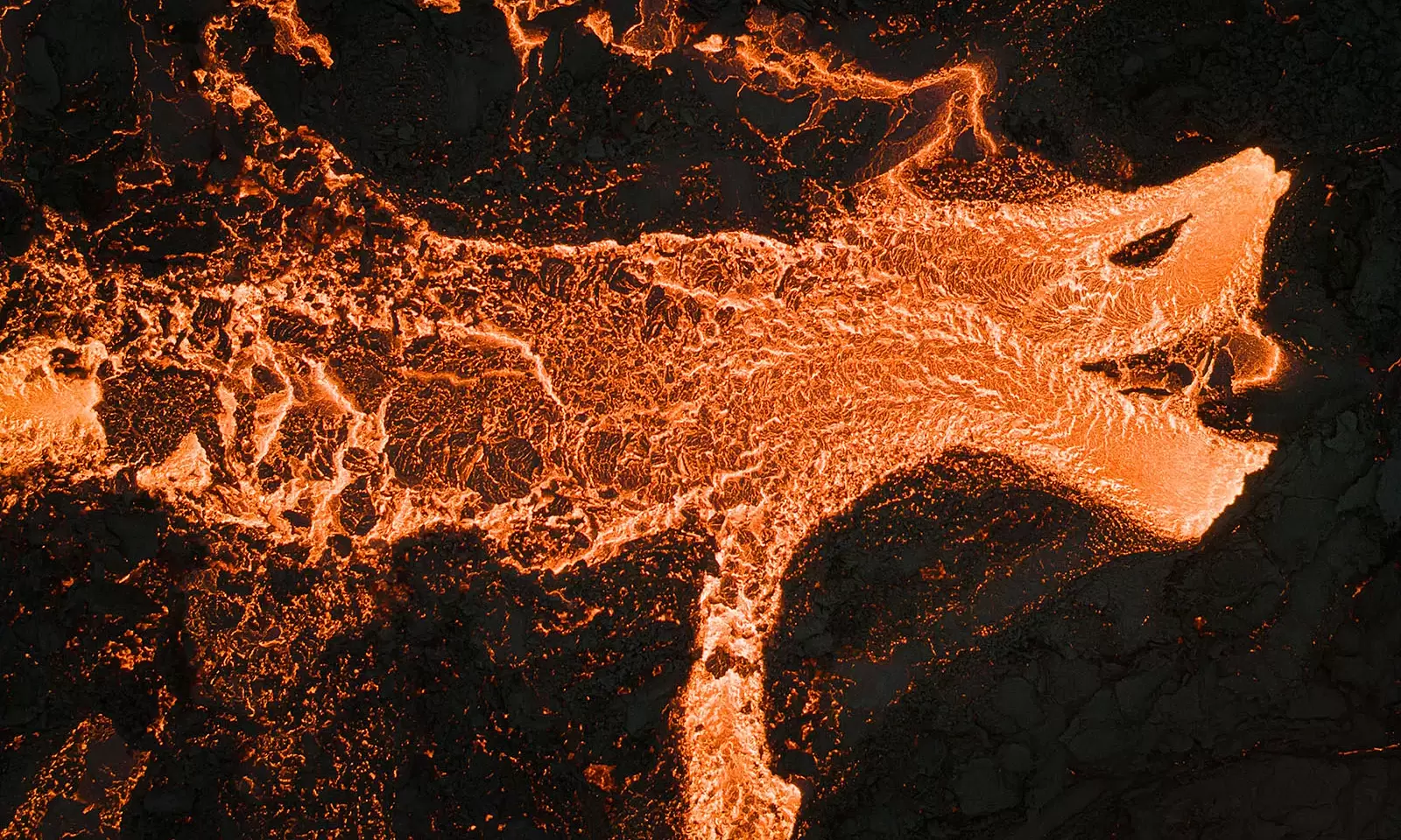 The most beautiful nature photos of the world in 2026