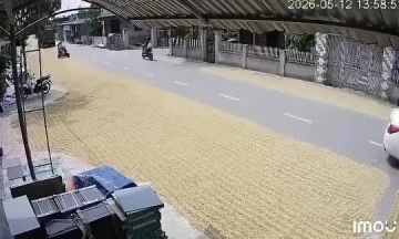No matter how sympathetic the situation, drying rice on roads is unacceptable